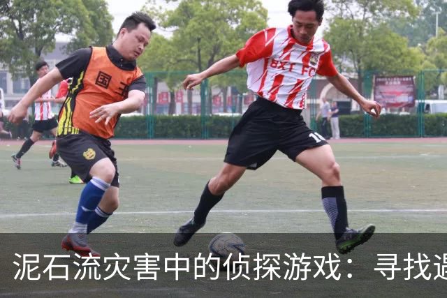 泥石流灾害中的侦探游戏：寻找遇难者的身份